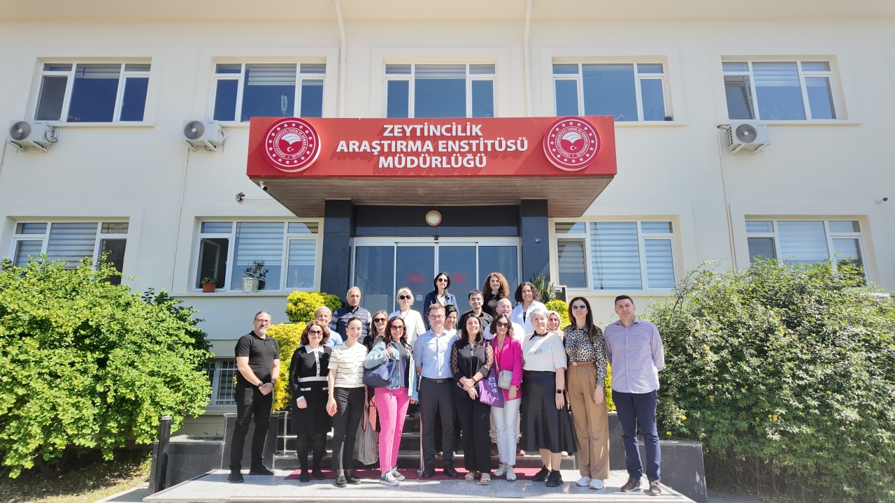 The Olive Research Institute in İzmir: A Living Archive of Olive Biodiversity
