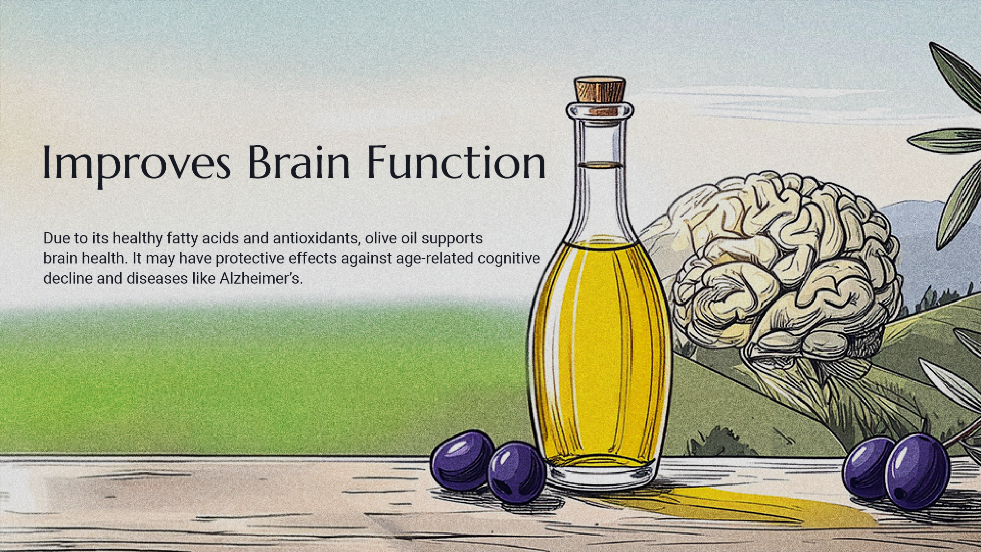 Olive oil supports brain function and cognitive health