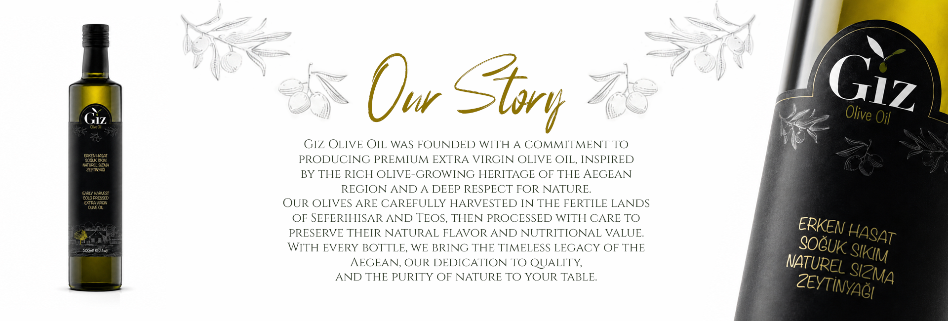 Giz — Our Story