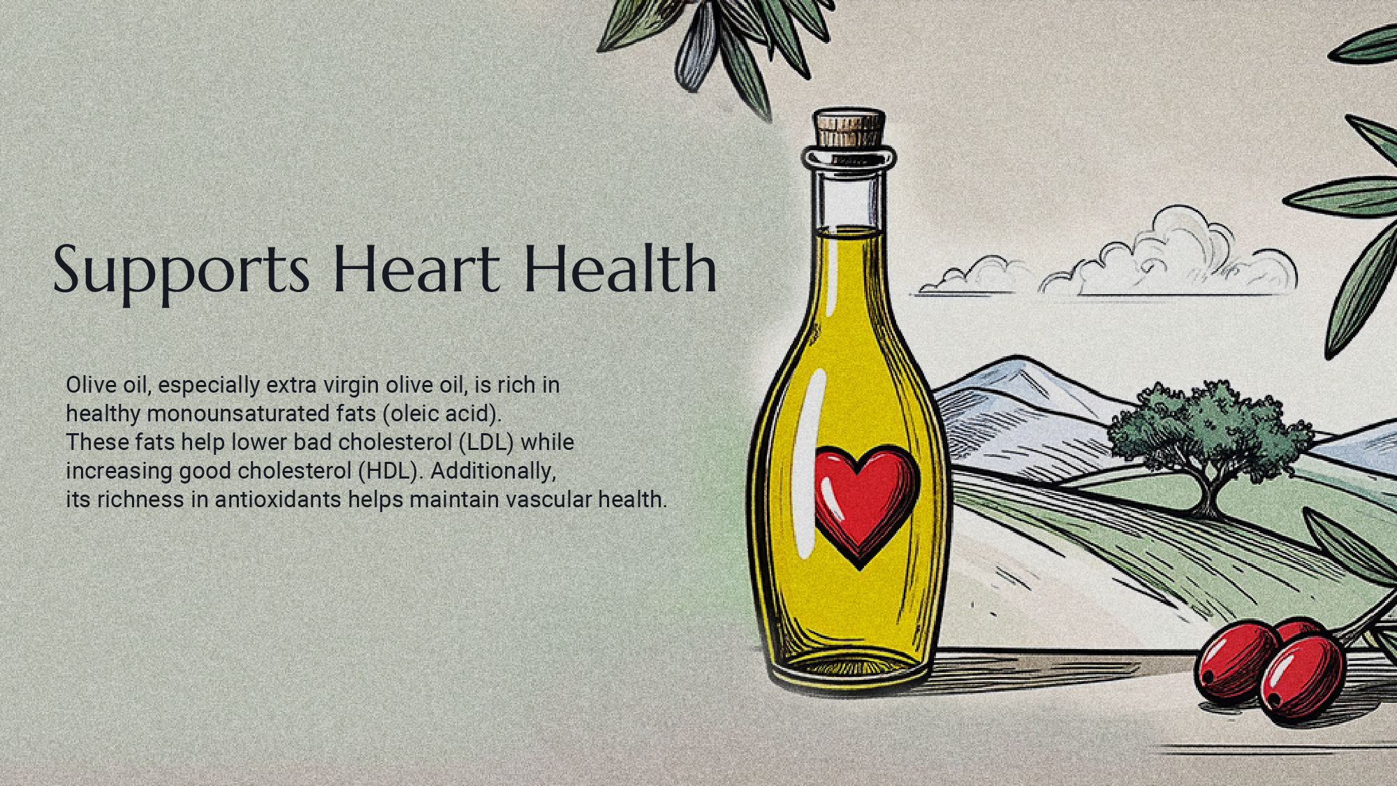 Olive oil supports heart and cardiovascular health