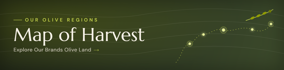 Map of Harvest — Explore Our Brands Olive Land